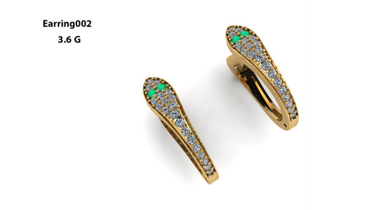 Earrings